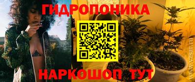 spice Будённовск