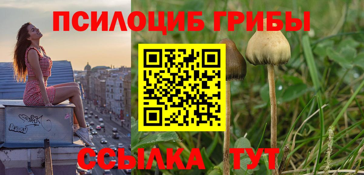 Краснокамск  Псилоцибиновые грибы мухоморы  Вход с VPN 